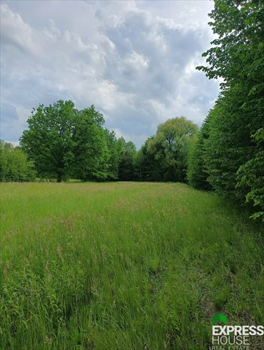 działka na sprzedaż 3122m2 działka Celinów, Polnych Kwiatów