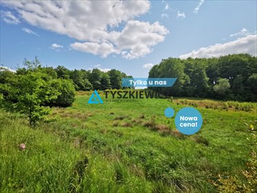 działka na sprzedaż 2997m2 działka Trzepowo, Cystersów