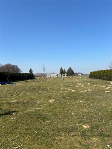 działka na sprzedaż 973m2 działka Pielgrzymowice