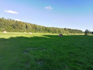 działka na sprzedaż 136800m2 działka Tawęcino