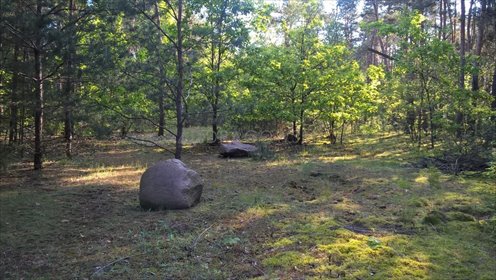 Działka rolna na sprzedaż Łękawica 11 842m2 Foto 1