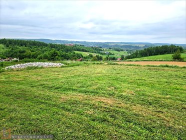 działka na sprzedaż 2512m2 działka Kozierów