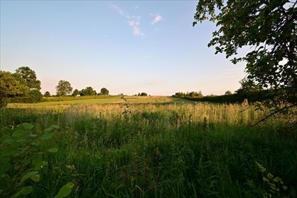 działka na sprzedaż 5400m2 działka Panieńszczyzna