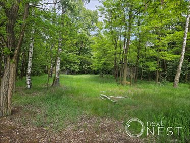 działka na sprzedaż 2150m2 działka Pieczyska