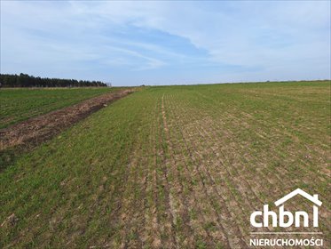 działka na sprzedaż 1058m2 działka Klonowo