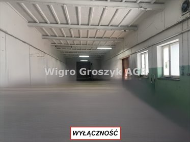 magazyn na sprzedaż 350m2 magazyn Czosnów
