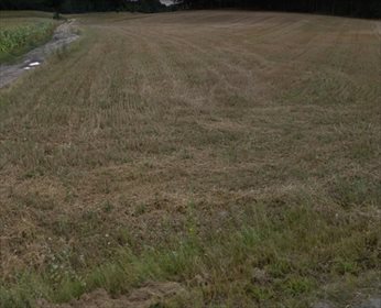 działka na sprzedaż 3249m2 działka Godziesze Wielkie, Borek