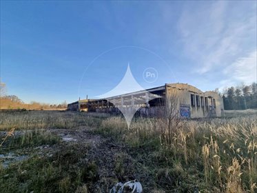 działka na sprzedaż 48213m2 działka Płaczków