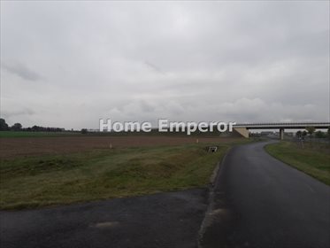 Działka budowlana na sprzedaż Czerlejnko 22 915m2 Foto 1