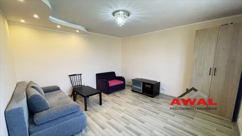 Umeblowane 1-pokojowe mieszkanie z pomieszczeniem gospodarczym mieszkanie Strzelno, Wiejska