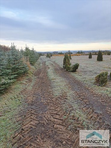 działka na sprzedaż 3345m2 działka Międzywodzie