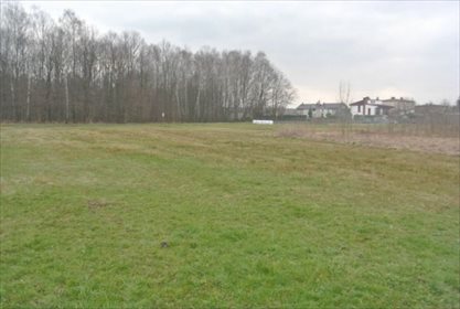 Działka budowlana na sprzedaż Mikołów, Borowa Wieś 2 256m2 Foto 4