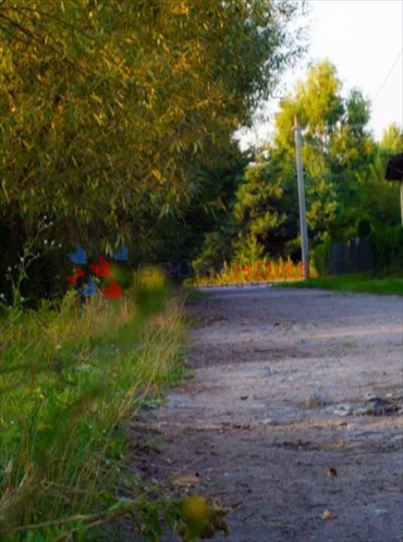 Zapraszam do zakupu działki 1150 m² z mediami i warunkami zabudowy działka Czarny Las