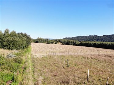 działka na sprzedaż 1308m2 działka Nowa Ruda, Władysława Broniewskiego