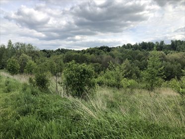 działka na sprzedaż 1700m2 działka Rzeszów, Górna Słocina