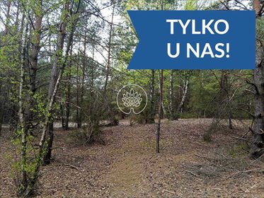 Działki rekreacyjne z prądem lasem i blisko rzeki działka Dzbądz