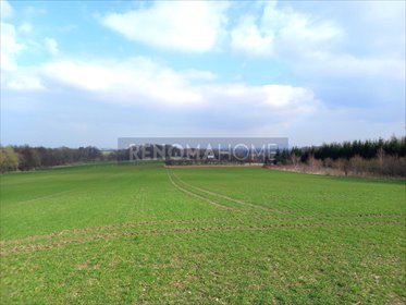Działka budowlana na sprzedaż Witoszów Górny 1 518m2 Foto 6