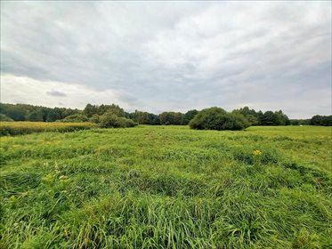 Działka siedliskowa na sprzedaż Malerzów, Dobroszyce 2 000m2 Foto 3