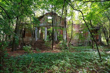 Zapraszam do obejrzenia zabytkowego dworu Czartoryskich z parkiem 17 ha dom Dąbrowica Mała