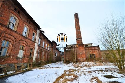 Magazyn na sprzedaż Lubniewice 713 670m2 Foto 3