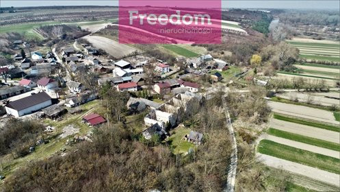 Lokal użytkowy na sprzedaż Tarłów 700m2 Foto 5