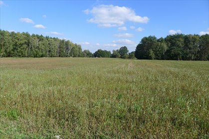 Działka 2500 m² pod rezydencję, las, spokój - polecam działka Ignacew Rozlazły