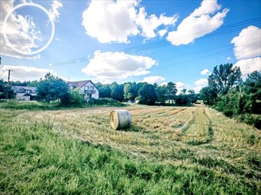 Zapraszam do zakupu działki 3000 m² w Nowosiółkach Kolonii działka Nowosiółki - Kolonia