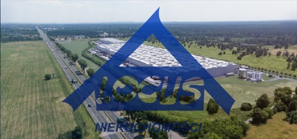 Magazyn 7 000 m² pod Warszawą (blisko trasy E7) magazyn Łomna-Las