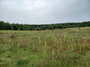 Działka rolna na sprzedaż Promna-Kolonia, Promna 11 400m2 Foto 4