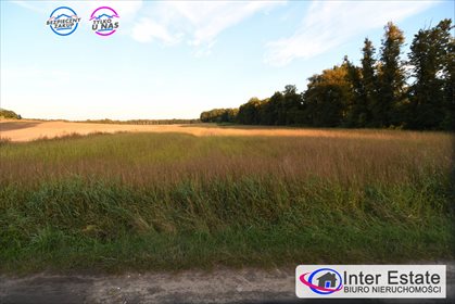 Działka budowlana na sprzedaż Kopaszyn 1 400m2 Foto 2