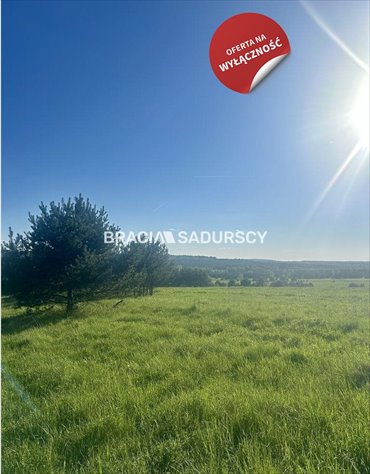 działka na sprzedaż 13750m2 działka Rokitno Szlacheckie