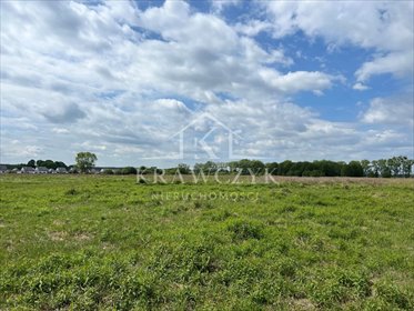 działka na sprzedaż 3000m2 działka Kliniska Wielkie