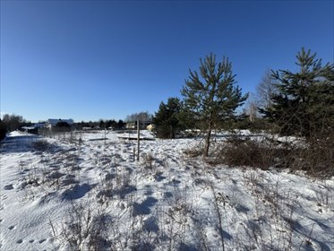 działka na sprzedaż 1500m2 działka Krzaki Czaplinkowskie