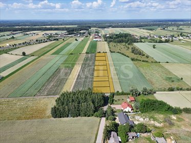 Sprzedam działkę inwestycyjną 8 628 m² z WZ w Głuchym działka Głuchy