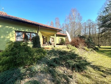 dom na sprzedaż 369m2 dom Niewiadowo