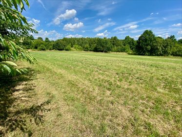 Działka inna na sprzedaż Łódź, Bałuty, Nowe Moskule, Strykowska 3 004m2 Foto 2