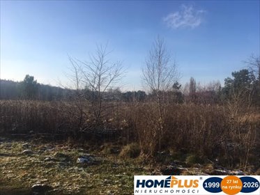 Działka 8599 m² z mediami, lasem i szybkim dojazdem polecam! działka Sieraków