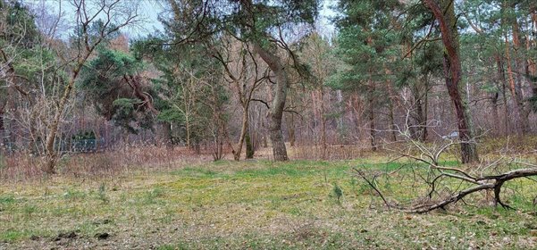 działka na sprzedaż 3160m2 działka Warszawa, Wawer, Międzylesie, Al. Dzieci Polskich