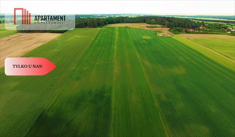 Działka 1300m² z WZ pod dom jednorodzinny - polecam działka Szubin