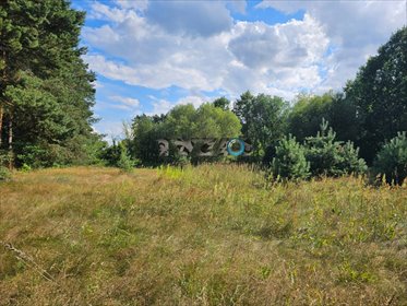 Działka 5000 m² z dostępem do Wisły, blisko Wilgi działka Lewików, Lewików
