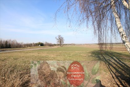 działka na sprzedaż 5545m2 działka Nowa Wieś