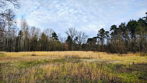 działka na sprzedaż 3591m2 działka Mariańskie Porzecze