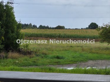 Działka budowlana 3002 m² przy DK10 w Kruszynie. działka Kruszyn