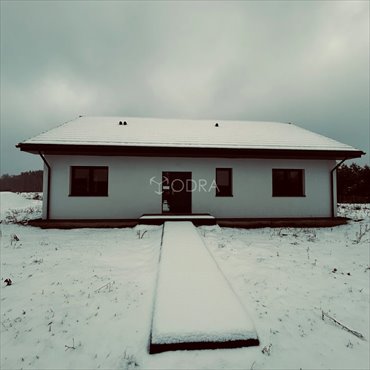 dom na sprzedaż 113m2 dom Barzyna