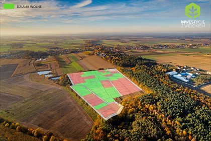 Do sprzedania działki 950 m² w Poniatowicach blisko lasu działka Poniatowice, Żyj blisko natury – działki przy lesie w Poniatowicach