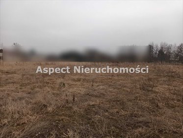 Działka budowlana na sprzedaż Żory, Baranowice 6 569m2 Foto 3