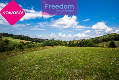 Działka rekreacyjna na sprzedaż Huta Brzuska 6 700m2 Foto 1