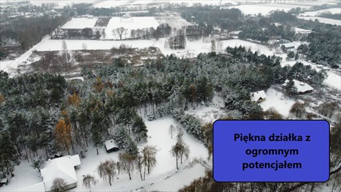 działka na sprzedaż Ozorowice Sosnowa 5500 m2