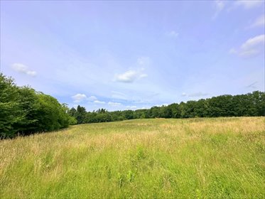 działka na sprzedaż 40420m2 działka Burów