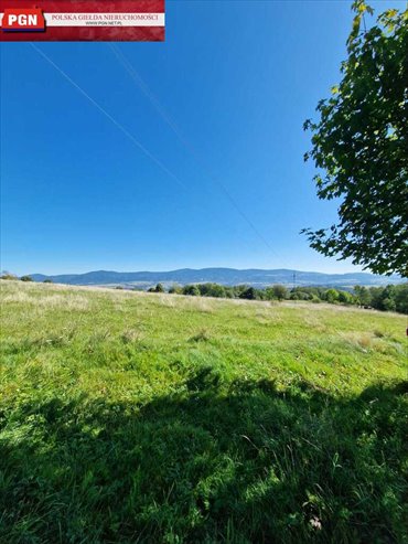działka na sprzedaż 166000m2 działka Międzylesie
